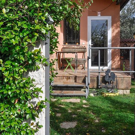 Acogedora Casa Con Verde Jardin By Cabana Rentals Ituero y Lama Ngoại thất bức ảnh